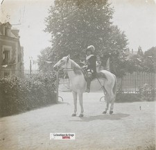 Cavalier Tenuta Vintage