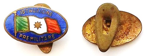 Distintivo smaltato ventennio