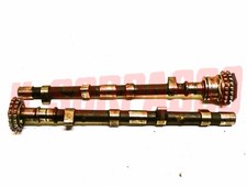 ALBERI A CAMME ALFA ROMEO