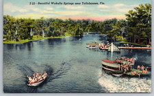 cartolina c1940s Wakulla