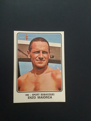 Panini campioni dello sport - panini,