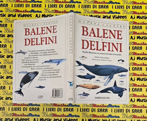 Book libro balene delfini - book,