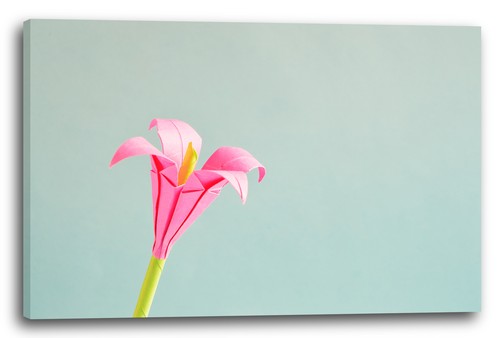 Tela cornice fiori foto - tela/cornice,