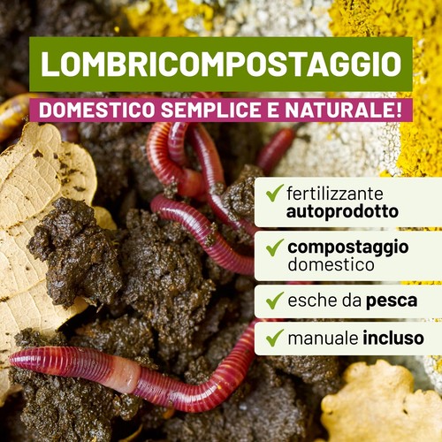 Biotica lombrichi rossi - biotica,