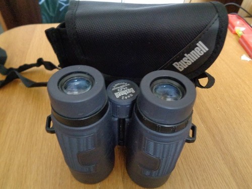 Binocolo bushnell h20 24 - binocolo, x