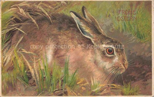 Pasqua paques - pasqua,