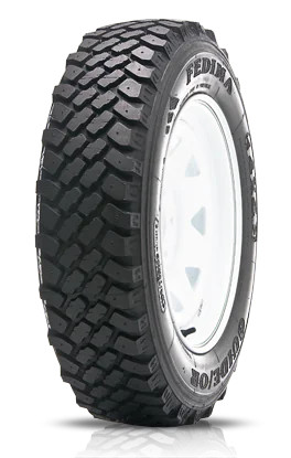 Gomme estive 195 r15c - gomme,