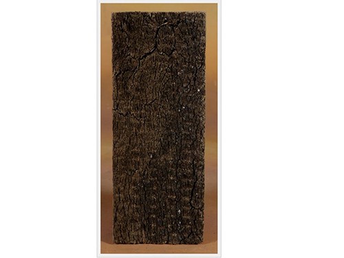 Tavola sughero con crosta - tavola,