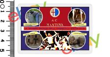 calamita ultras del mantova tifosi team calcio trasferta sfottò sticker