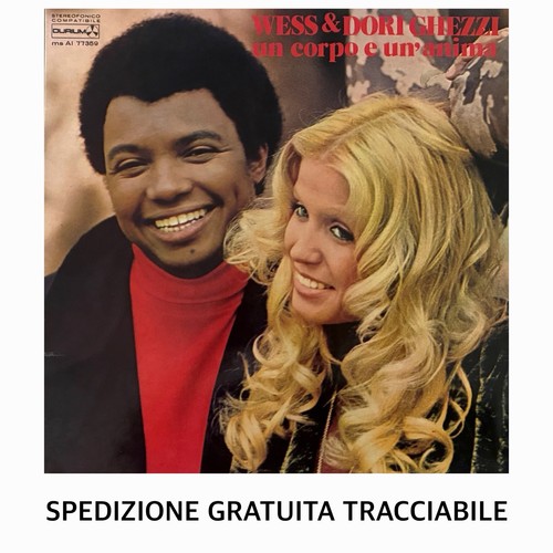 Disco vinile giri wess - disco, •