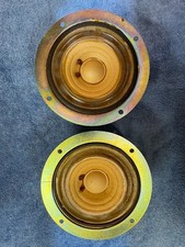 2 altoparlanti Coral Alnico