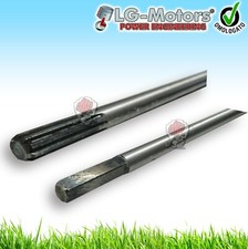 ANIMA ASTA ALBERO DI