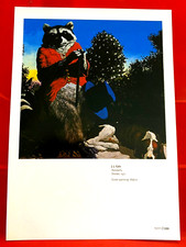 J.J. Cale Naturally Album