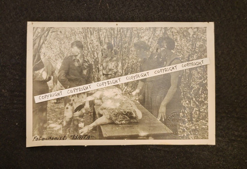 Foto partigiani macellai - foto,