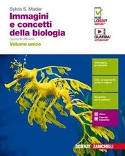 IMMAGINI E CONCETTI DELLA