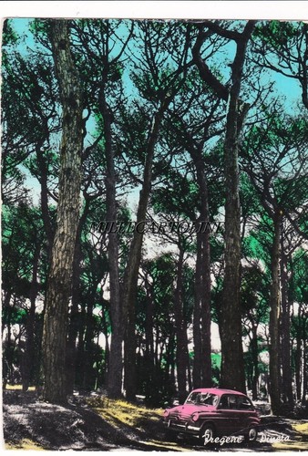 Fregene pineta - fregene:, 600)