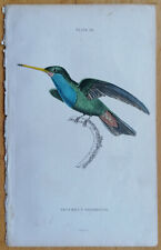 Jardine stampa originale