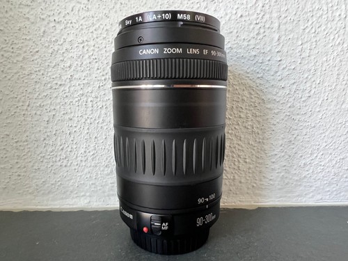 Canon zoom lens 300 mm - zoom,