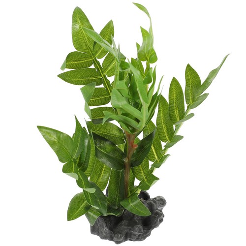 Tortoise habitat plants - ,
