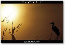 CARTOLINA DA COLLEZIONE