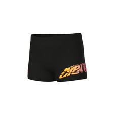 Arena Lettering Swim Short Jr