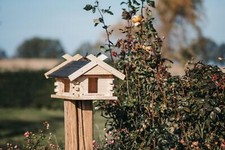 Scandole per Tetto Coda