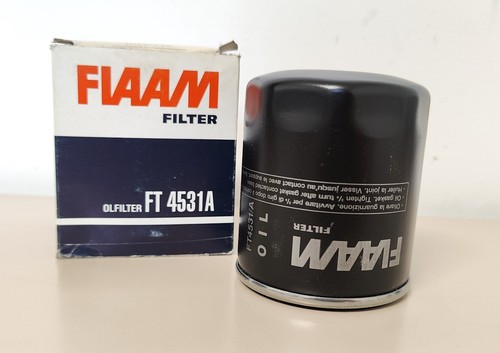 Filtro olio austin - filtro,