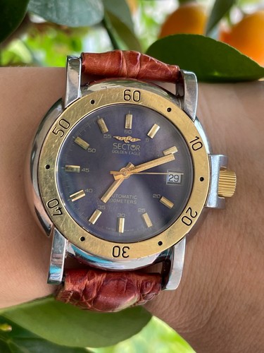Orologio sector golden eagle - golden,