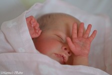 Martina's Babies reborn real