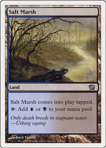 Salt marsh 325 8 - salt,