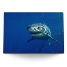 Quadro su tela 120x80 cm