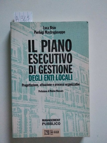 Piano esecutivo gestione - esecutivo, di