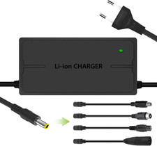 Caricabatteria Bici Elettrica