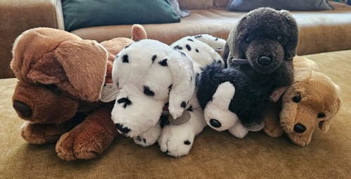 Chiglia giocattoli peluche - giocattoli,