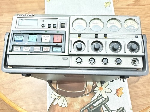 Videoregistratore portatile