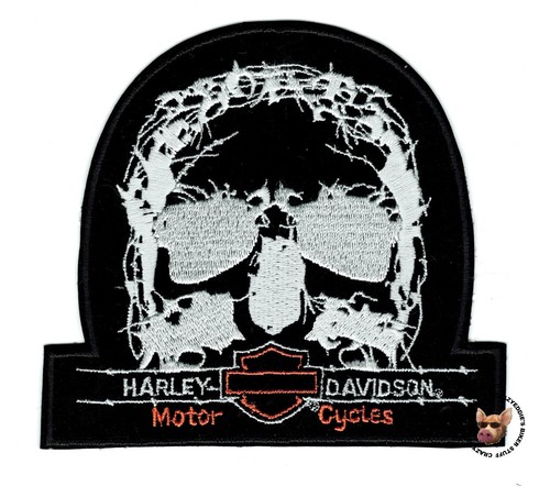 Harley davidson tnt - harley, teschio