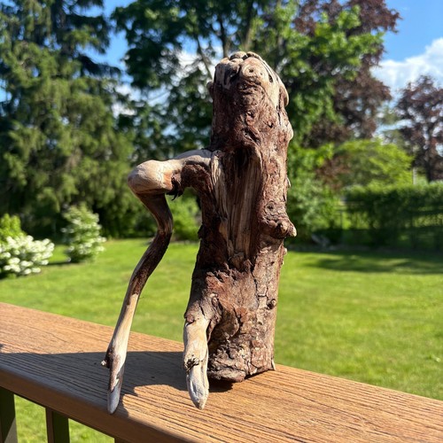 Twisting tree driftwood 11x6x9 - twisting,
