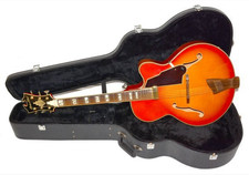 Chitarra elettrica acustica