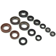 46673 - compatible con KTM 600
