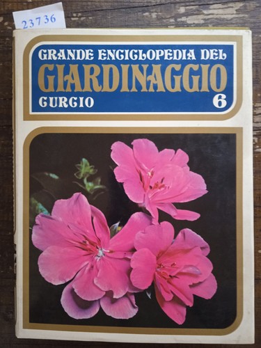 Grande enciclopedia del