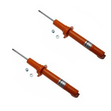 Ammortizzatori Koni Anteriori