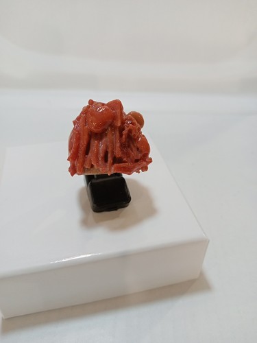 Anello legno con scaglie di - in,