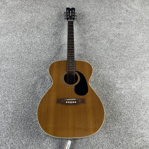 Voxton 202 chitarra - chitarra, acustica
