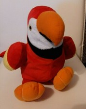 Pappagallo mutlicolore