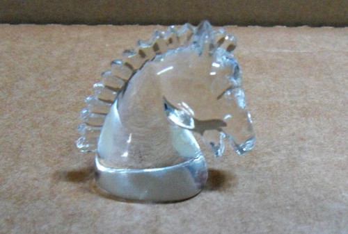 Rara testa cavallo - testa, di