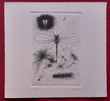 Guido Strazza (Santa Fiora 1922) - Prova Insetti, 1980 - Incisione a bulino