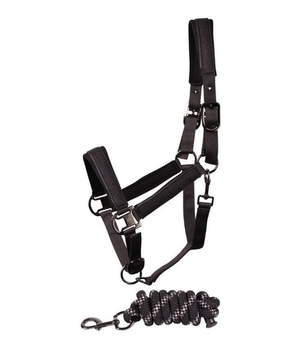 Harrys horse halfterset denici - horse,