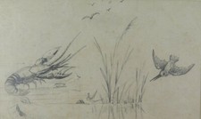 Disegno antico francia - disegno, inizio