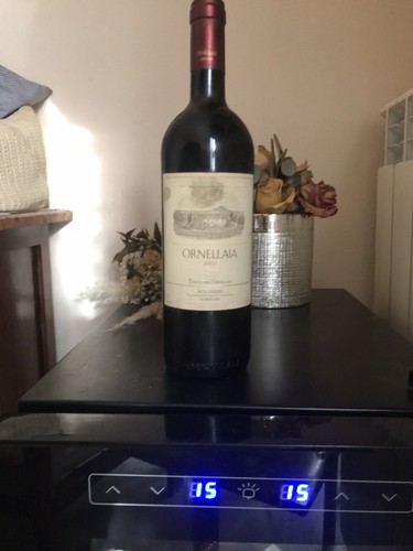 Bolgheri superiore doc 2005 - superiore,