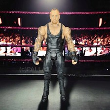 WWE WRESTLING V1541 BASIC